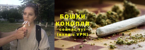 сатива Аркадак