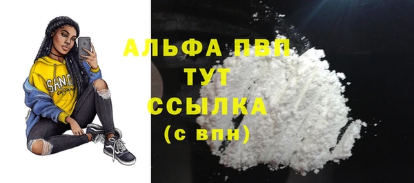 стафф Арсеньев