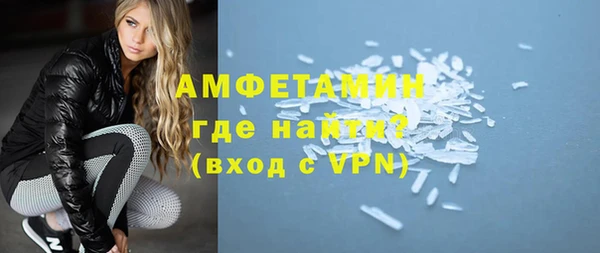 сатива Аркадак