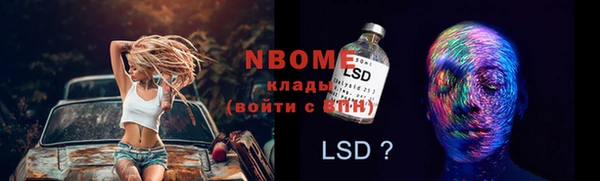 стафф Арсеньев