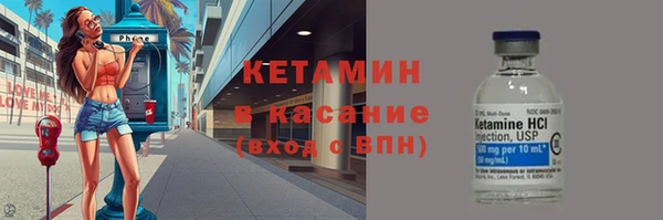сатива Аркадак
