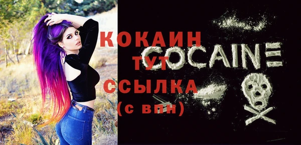 сатива Аркадак