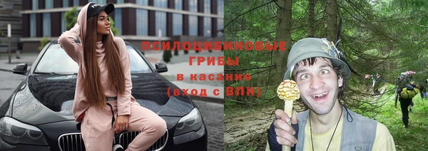 сатива Аркадак