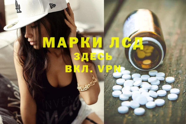 стафф Арсеньев