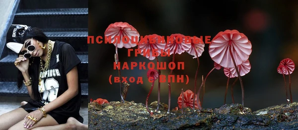 стафф Арсеньев