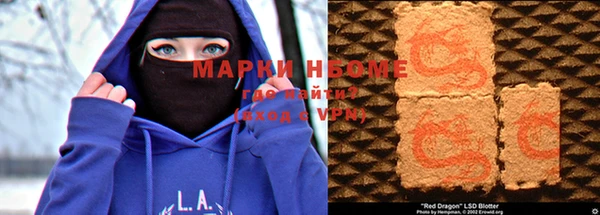 сатива Аркадак